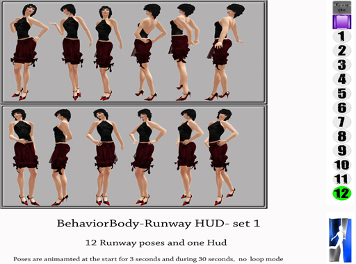BehaviorBody-Runway_HUD-_set_1