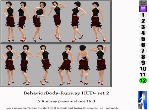 BehaviorBody-Runway_HUD-_set_2