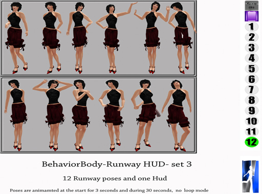 BehaviorBody-Runway_HUD-_set_3